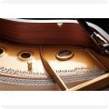 Gestellungsinstrument - Kawai Flügel 189