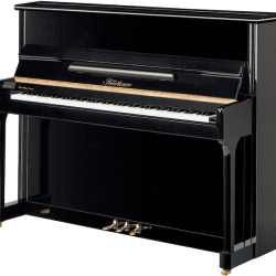 BLÜTHNER Klavier C - 118