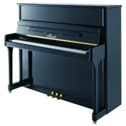 HAESSLER Klavier H 124